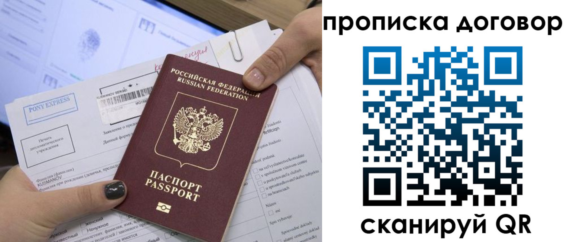 прописка гарантия в Ясном